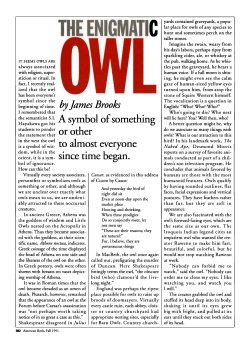 The Enigmatic Owl