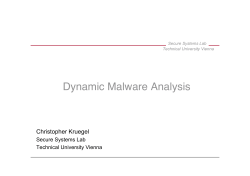 Dynamic Malware Analysis