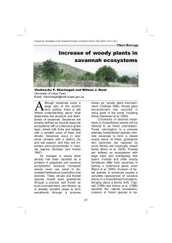 Increase of woody plants in savannah ecosystems