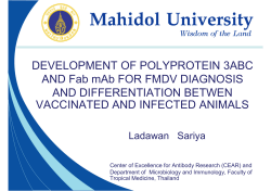 DEVELOPMENT OF POLYPROTEIN 3ABC AND Fab mAb FOR
