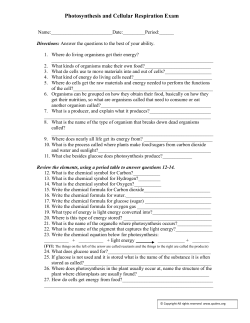 Photosynthesis and Cellular Respiration Exam
