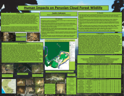 Human Impacts on Peruvian Cloud Forest Wildlife