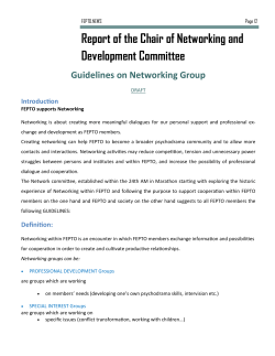 Guidelines for Network Groups / draft