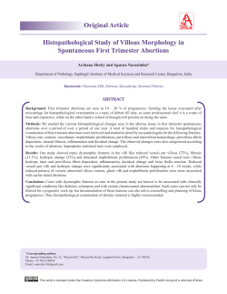 Print this article - Pacific Group of e