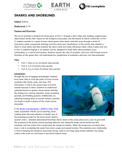 sharks and shorelines - Nature Works Everywhere