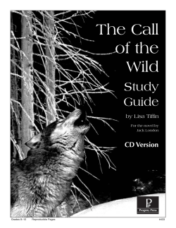 The Call of the Wild