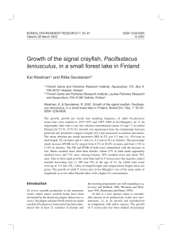 Growth of the signal crayfish, Pacifastacus leniusculus, in a small