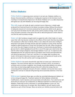 an article by Dr. Brad Francke on feline diabetes