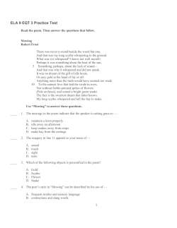 ELA 9 EQT 3 Practice Test