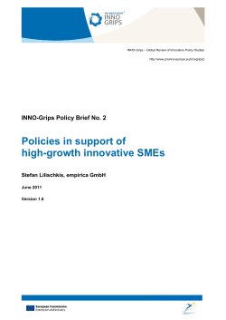 Policies in support of high-growth innovative SMEs