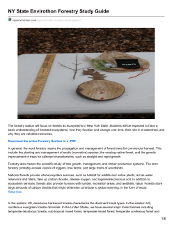 the entire Forestry Section in a