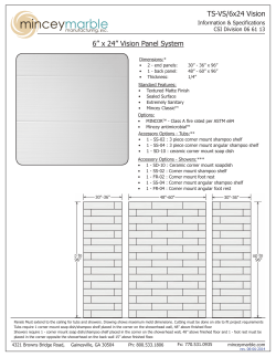 TS-VS/6x24 Vision 6&rdquo; x 24&rdquo; Vision Panel System