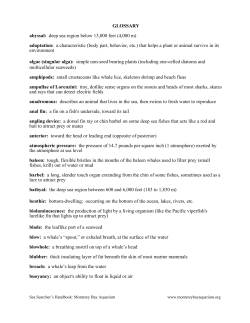 Glossary - Monterey Bay Aquarium