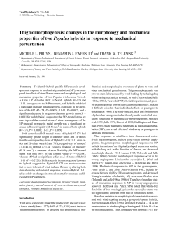 Thigmomorphogenesis: changes in the morphology and mechanical