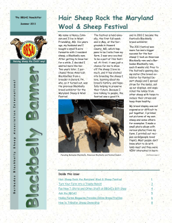 2011 July - Barbados Blackbelly Sheep Association International