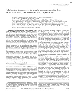 Glutamine transporter in crypts compensates for loss of villus