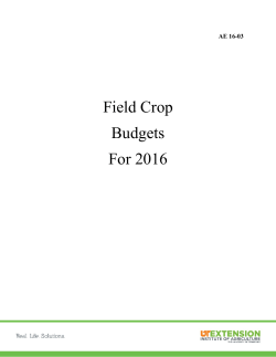 Field Crop Budgets For 2016 - University of Tennessee