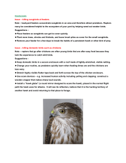 Hawks/Owls - Wolf Hollow Wildlife Rehabilitation Center