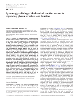 Systems glycobiology: biochemical reaction