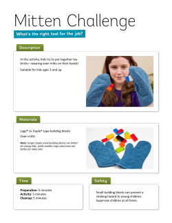 Mitten Challenge (DIY)