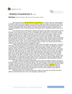 Reading Comprehension 4