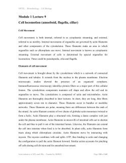Module 1 Lecture 9 Cell locomotion (amoeboid, flagella, cillar)