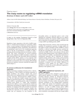 The many routes to regulating mRNA translation