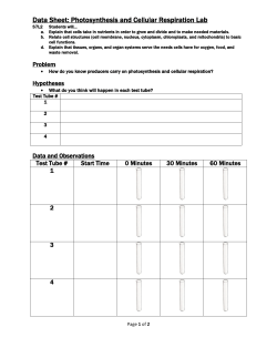 Data Sheet: Photosynthesis and Cellular Respiration Lab
