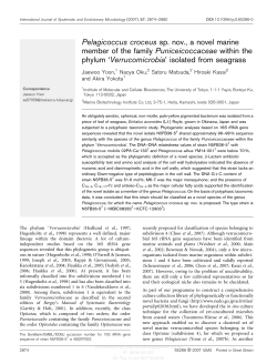Pelagicoccus croceus sp. nov., a novel marine member of the family
