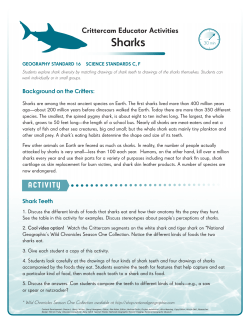 Sharks ACTIVITY - National Geographic