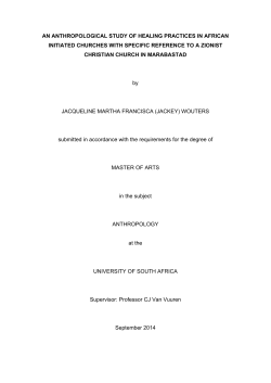 Icon - Unisa Institutional Repository