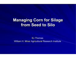 Managing Corn for Silage from Seed to Silo