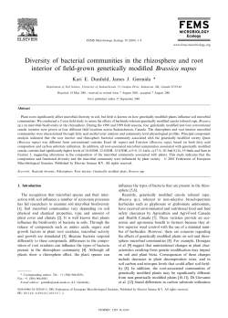 Diversity of bacterial communities in the rhizosphere and root