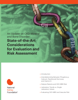 State-of-the-Art Considerations for Evaluation and Risk Assessment