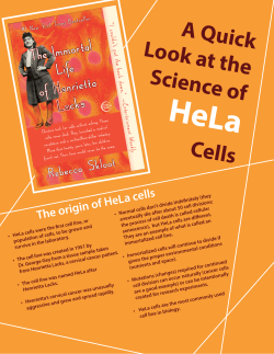 fact sheet - Iowa City Book Festival