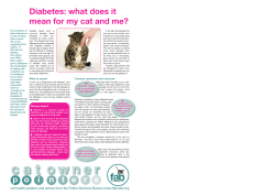 Diabetes: what does it mean for my cat and me?