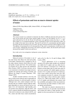 Effects of potassium and iron on macro element uptake of maize