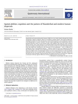 Spatial abilities, cognition and the pattern of