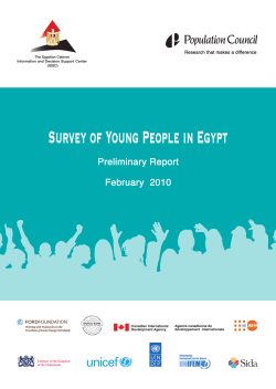 Survey of young people in Egypt: Preliminary report