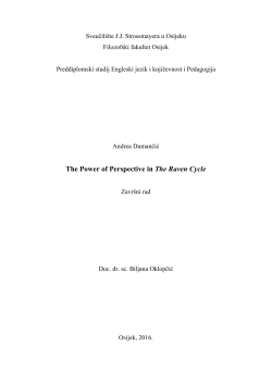 The Power of Perspective in The Raven Cycle - FFOS