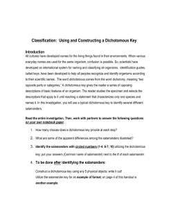 Classification: Using a Dichotomous Key