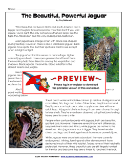 The Beautiful, Powerful Jaguar
