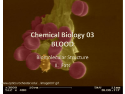 Chemical Biology 03 BLOOD