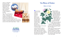 The Story of Cotton - Texas is Cotton Country