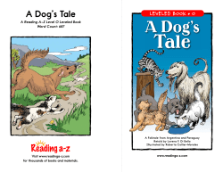 A Dog`s Tale
