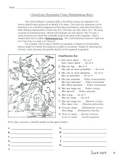 Dichotomous Keys Worksheet