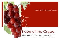 Blood of the Grape - ChristianWorldMedia