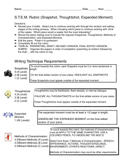 STEM Rubric - Mattawan Consolidated School