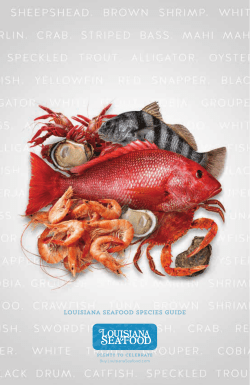Species Guide - Buy Louisiana Seafood