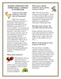 raising chickens and other small animals in